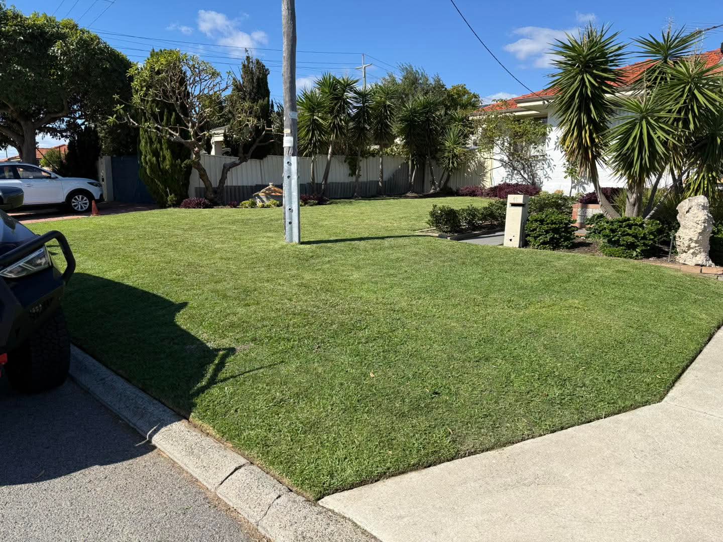 Full Lawn Reinstatement